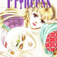   Princess <small>Story & Art</small> 